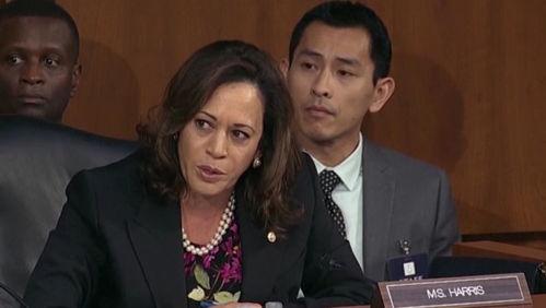 高州刘灿爆料事件最新,真相与争议交织的舆论漩涡